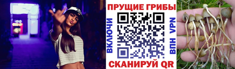 mega зеркало  Окуловка  Псилоцибиновые грибы Psilocybine cubensis  купить наркотик 